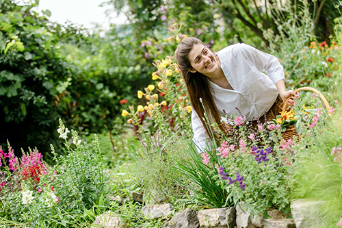 Steinschaler Naturhotels: Natascha sammelt Kräuter